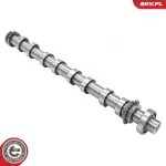 ESEN SKV Nukkvõll 80SKV044