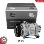 ESEN SKV Kompressor,  kliimaseade 12V 84SKV163