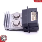 ESEN SKV Salongipuhuri takisiti 94SKV110