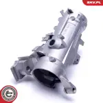 ESEN SKV  Roolilukk 96SKV790