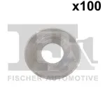 FA1 Kaitseseib,  sissepritse (pihustiseib) 763.620.100