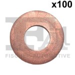 FA1 Kaitseseib,  sissepritse (pihustiseib) 919.335.100