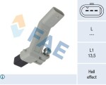 FAE 79541