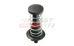 FAST Gaasivedru, esiluuk FT00220