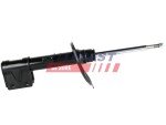 FAST Amort FT11037