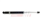 FAST Amort FT11074