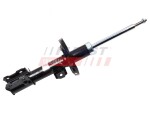FAST Amort FT11309