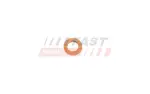 FAST Kaitseseib,  sissepritse (pihustiseib) FT11613