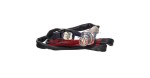 FAST Lambda andur FT12869