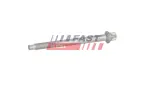 FAST Pihustipolt / sissepritsedüüsi kinnitus FT12957