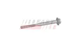 FAST Pihustipolt / sissepritsedüüsi kinnitus FT13099