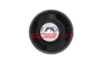 FAST Puks FT18087