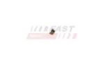 FAST Klapikiil FT43801