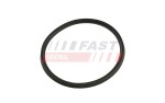 FAST Rõngastihend,  turbo õhu voolik FT48965