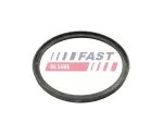 FAST Rõngastihend,  turbo õhu voolik FT49922