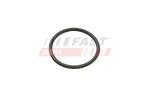 FAST Rõngastihend,  turbo õhu voolik FT49935