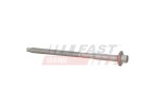 FAST Pihustipolt / sissepritsedüüsi kinnitus FT51604