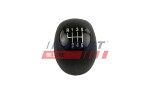 FAST Käigukanginupp FT73225