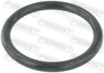 FEBEST Tihend, drosselventiil RINGAH-009
