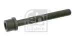 FEBI BILSTEIN  Klapikaanekruvi 06666