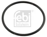FEBI BILSTEIN  Tihend,termostaat 10258