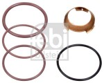 FEBI BILSTEIN Tihendikomplekt,  pihusti / sissepritsedüüs 104465