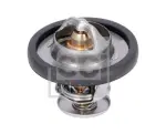 FEBI BILSTEIN Termostaat,  Jahutusvedelik 106104