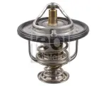 FEBI BILSTEIN Termostaat,  Jahutusvedelik 107698