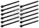 FEBI BILSTEIN plokikaane poldid komplekt 14801