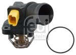 FEBI BILSTEIN Termostaat,  Jahutusvedelik 170586