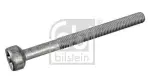 FEBI BILSTEIN  Kruvi, sissepritsedüüsi kinnitus 172930