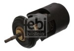 FEBI BILSTEIN Termostaat,  Jahutusvedelik 17902