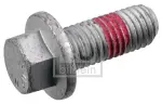 FEBI BILSTEIN  Kruvi,pidurisadul 180961