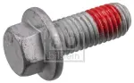 FEBI BILSTEIN  Kruvi,pidurisadul 182456