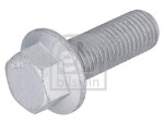 FEBI BILSTEIN  Kruvi,pidurisadul 182484
