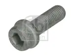FEBI BILSTEIN  Kruvi,pidurisadul 185993