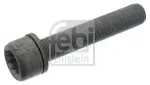 FEBI BILSTEIN  Kruvi,pidurisadul 48817