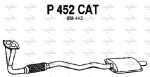 FENNO Katalüsaator P452CAT
