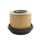 FILTRON  Õhufilter AM 425