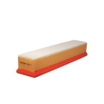 FILTRON Õhufilter AP 134/6