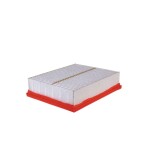 FILTRON Õhufilter AP 135/5