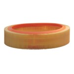 FILTRON Õhufilter AR 229
