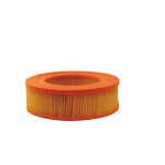 FILTRON Õhufilter AR 273