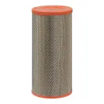 FILTRON Õhufilter AR 285