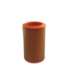 FILTRON Õhufilter AR 318