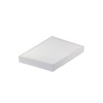 FILTRON  Filter,salongiõhk K 1384