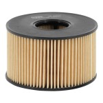 FILTRON  Õlifilter OE 665/1