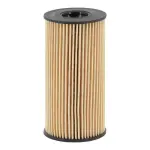 FILTRON Õlifilter OE 666/2