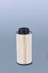 FLEETGUARD  Kütusefilter FF5683