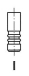FRECCIA R8146/SCR